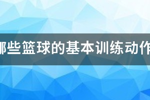 篮球训练10个基本动作图解